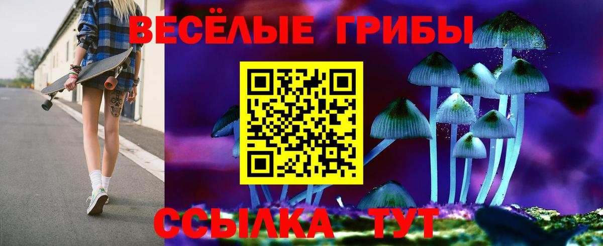 Псилоцибиновые грибы мицелий Сатка